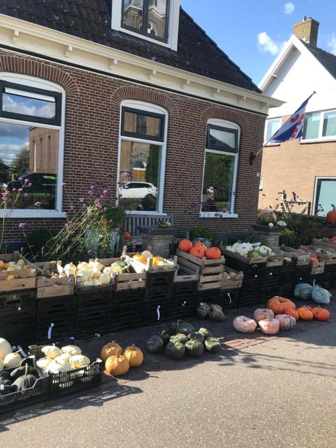 Bungalow Kleine Deichperle, Strand Und Deich In Unmittelbarer Naehe! Lemmer Esterno foto